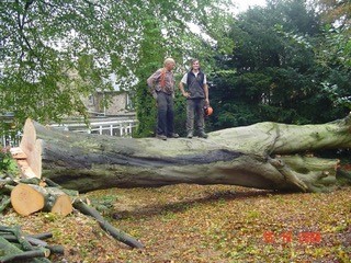 About Peak District Tree Surgeons